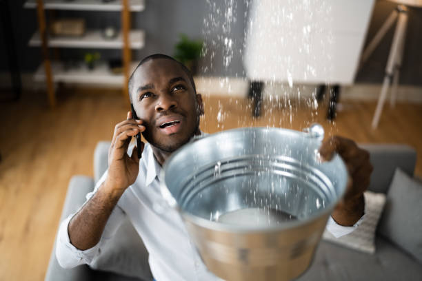 Best Water damage restoration insurance claims  in Cresaptown, MD