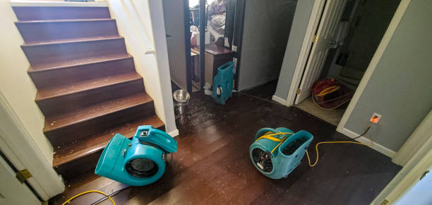 Best Commercial water damage restoration  in Cresaptown, MD