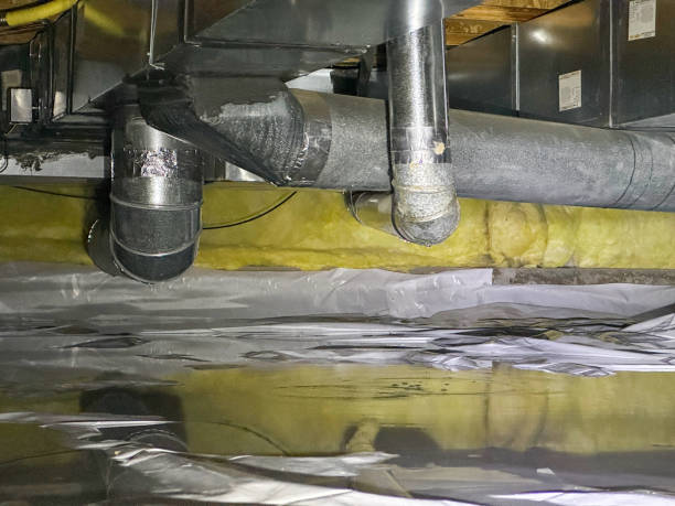 Best Emergency water damage restoration  in Cresaptown, MD