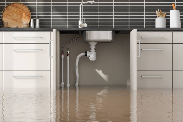 Best 24/7 water damage repair  in Cresaptown, MD