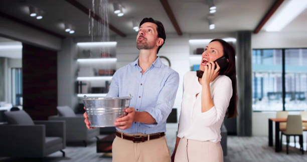 Best Water damage contractors near me  in Cresaptown, MD